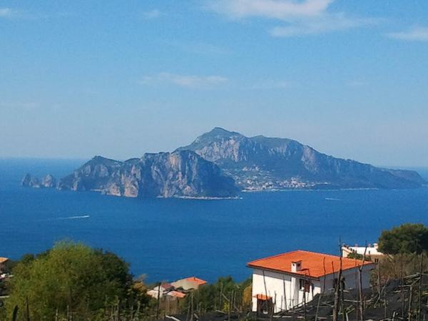 Capri e Grotta Azzurra: giri in barca